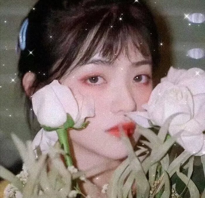 旭日初升 在线观看